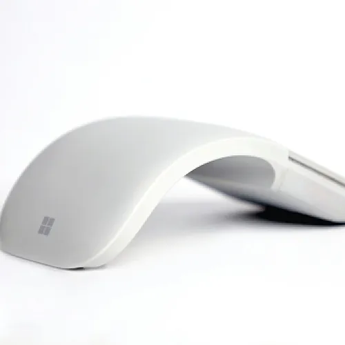 Mouse model 5